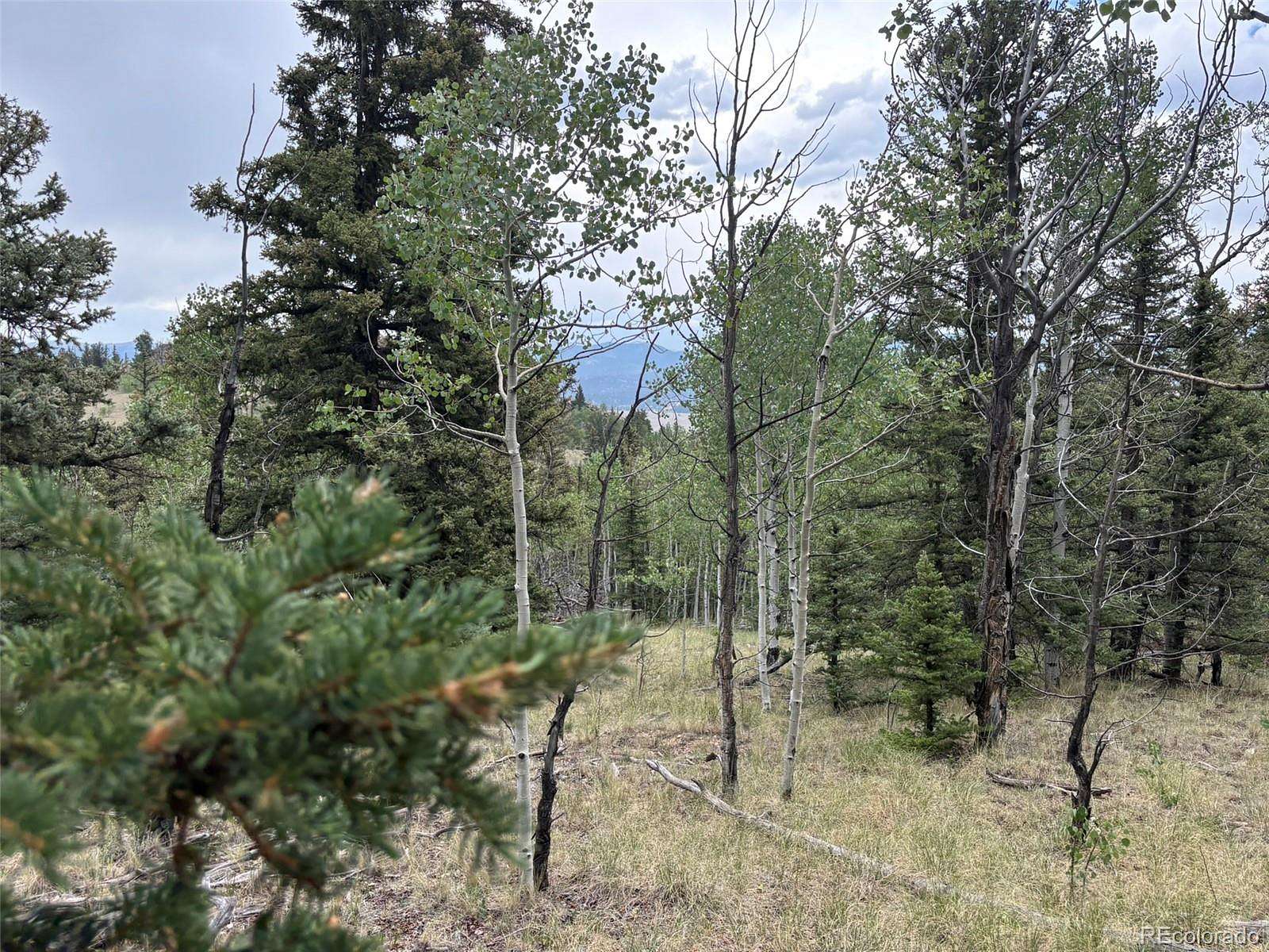 2 Acres of Residential Land for Sale in Jefferson, Colorado