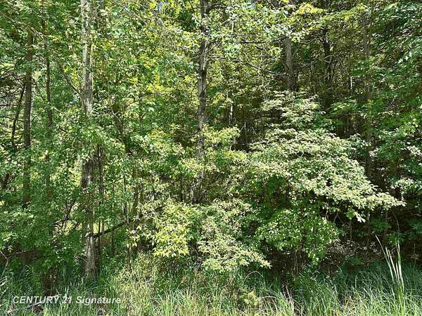 2.19 Acres of Residential Land for Sale in Beaverton, Michigan