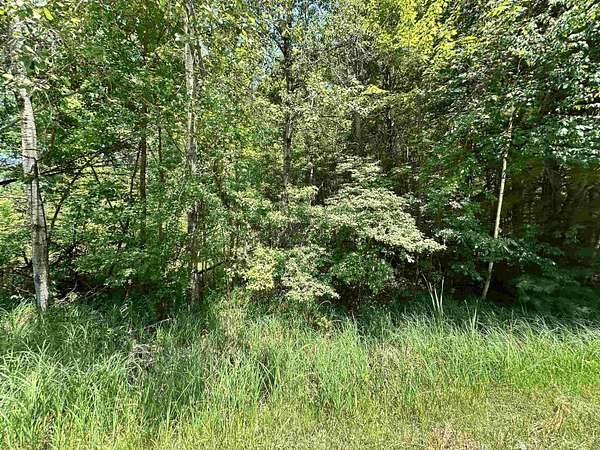 2.19 Acres of Residential Land for Sale in Beaverton, Michigan