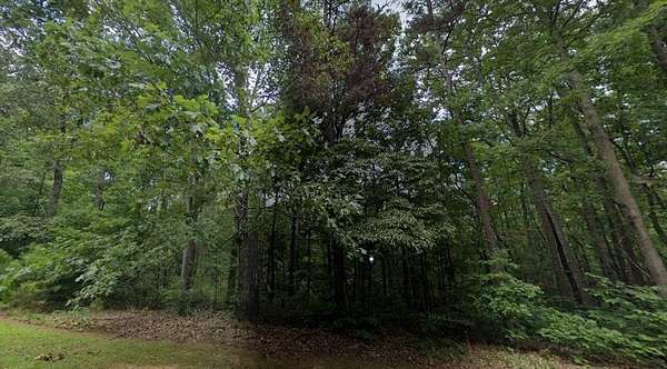 3 Acres of Residential Land for Sale in Ellijay, Georgia