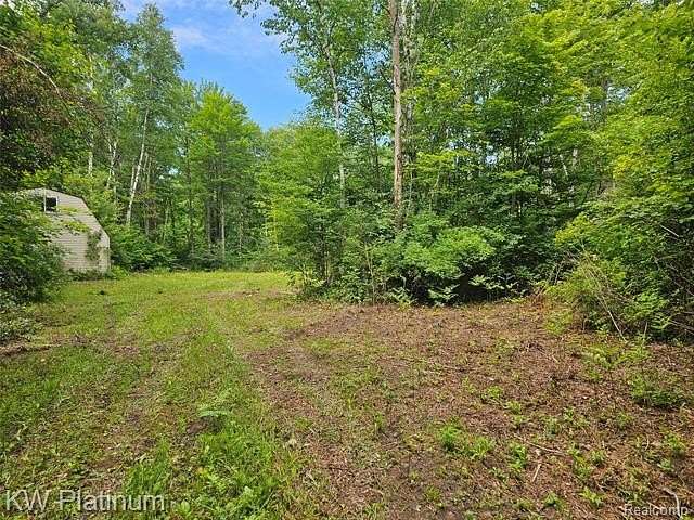 39.7 Acres of Recreational & Residential Land for Sale in Kimball Township, Michigan
