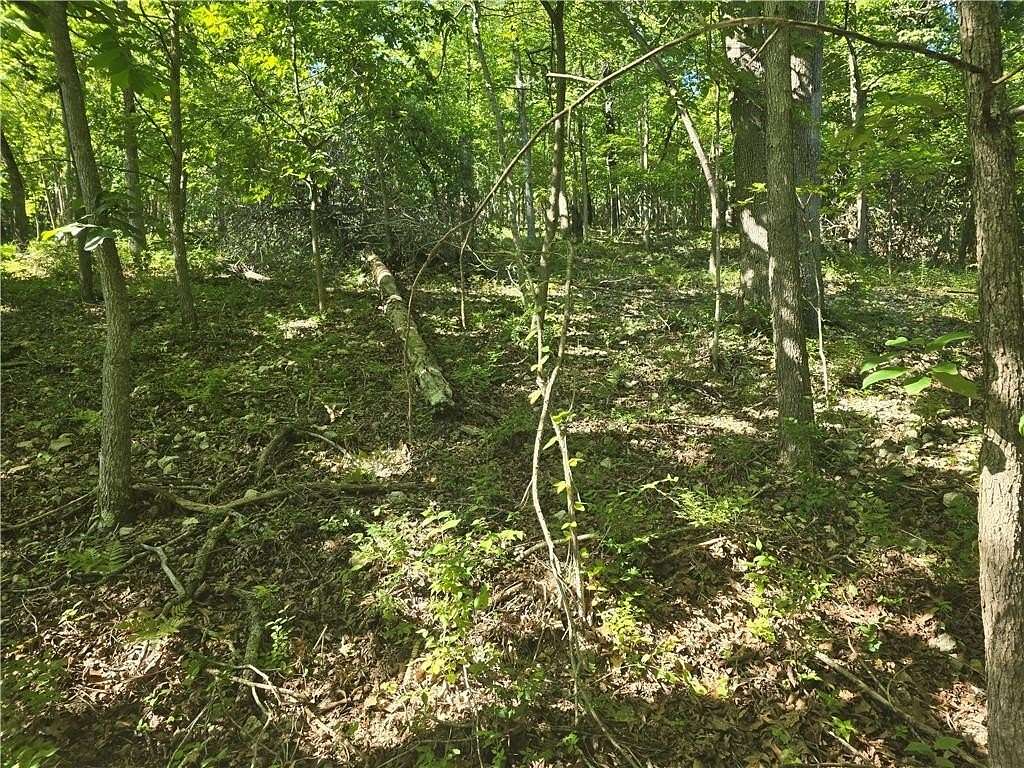1.57 Acres of Residential Land for Sale in Rogers, Arkansas