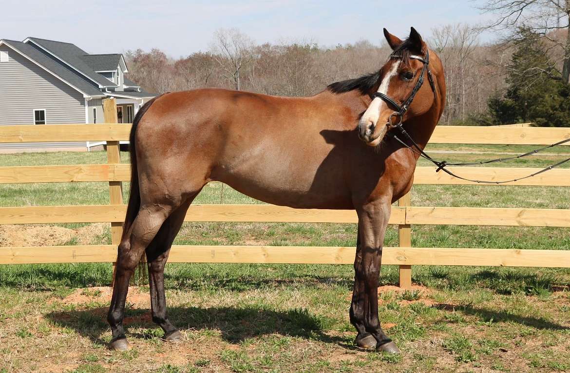 6 Acres of Land for Lease in Powhatan, Virginia