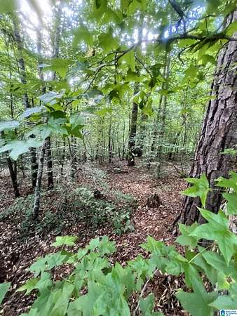 1 Acre of Residential Land for Sale in Alexander City, Alabama