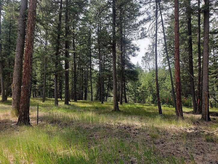 5 Acres of Land for Sale in Frenchtown, Montana
