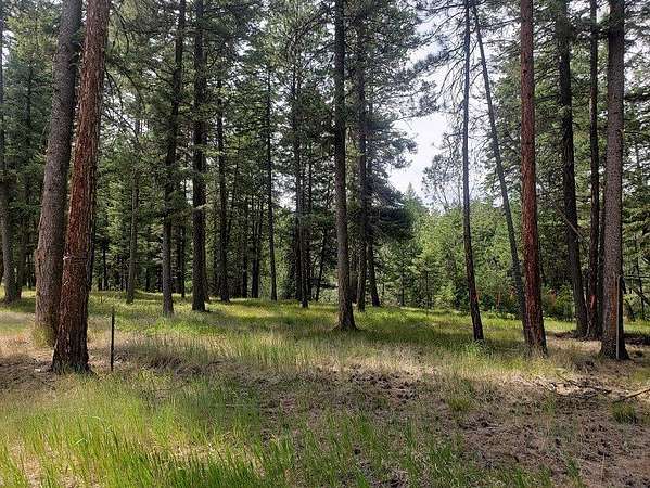 5 Acres of Land for Sale in Frenchtown, Montana