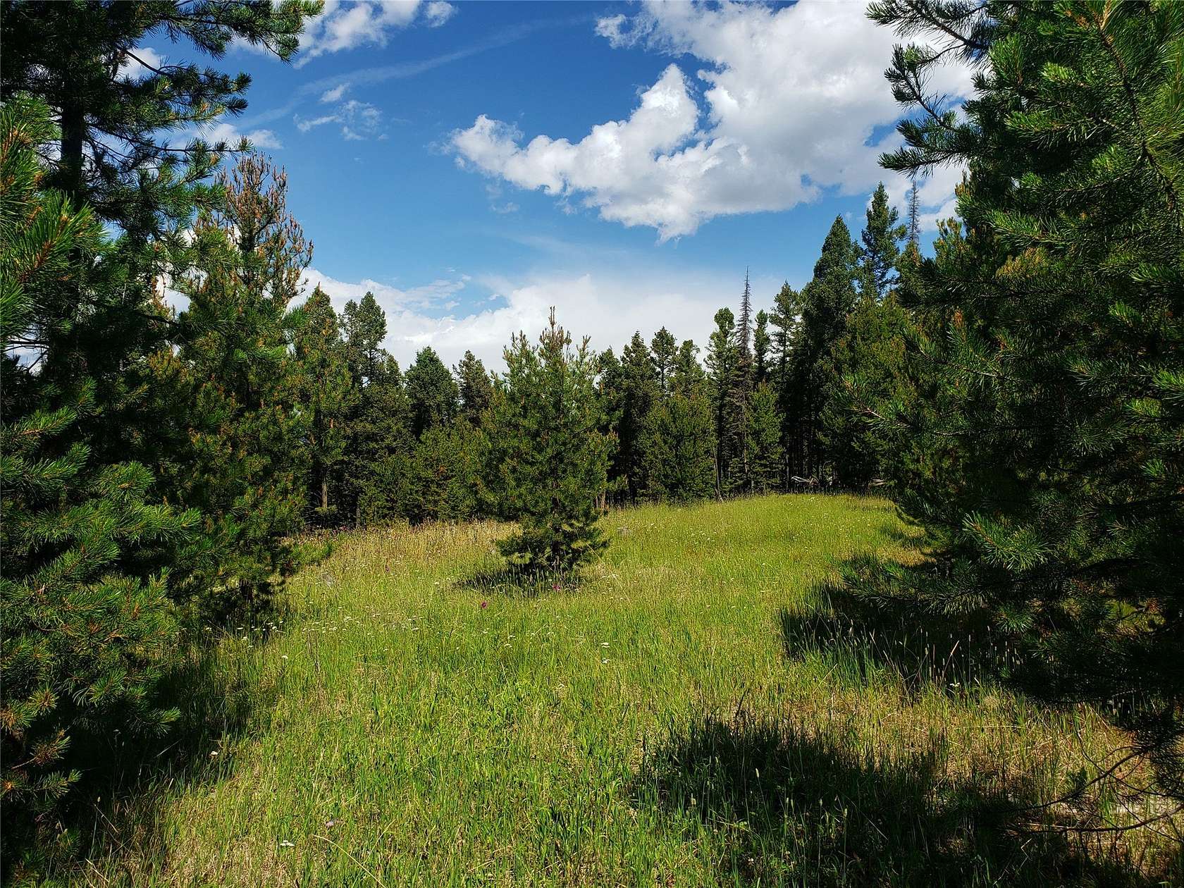 20 Acres of Land for Sale in Helmville, Montana