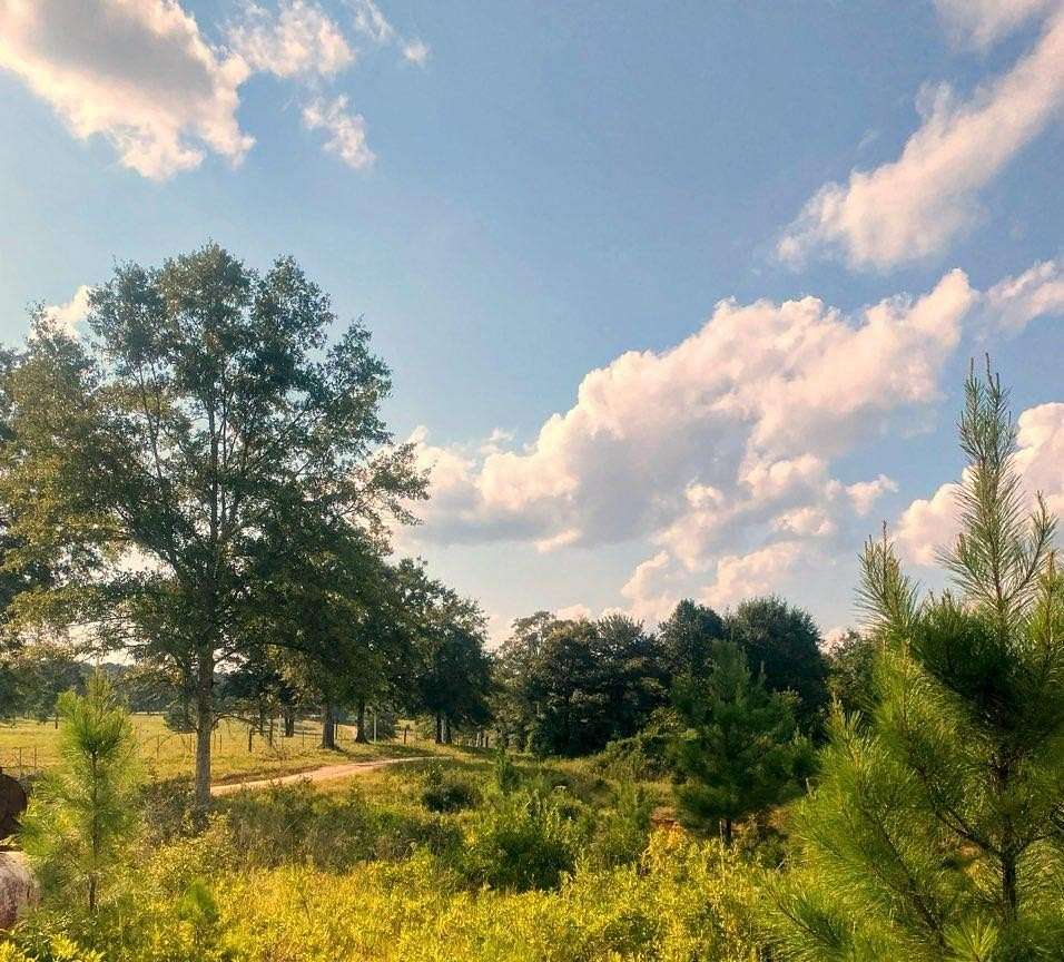 6 Acres of Land for Sale in Poplarville, Mississippi