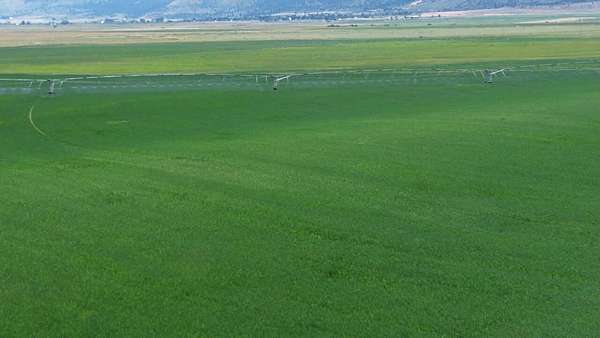 240 Acres of Agricultural Land for Sale in Fort Bidwell, California