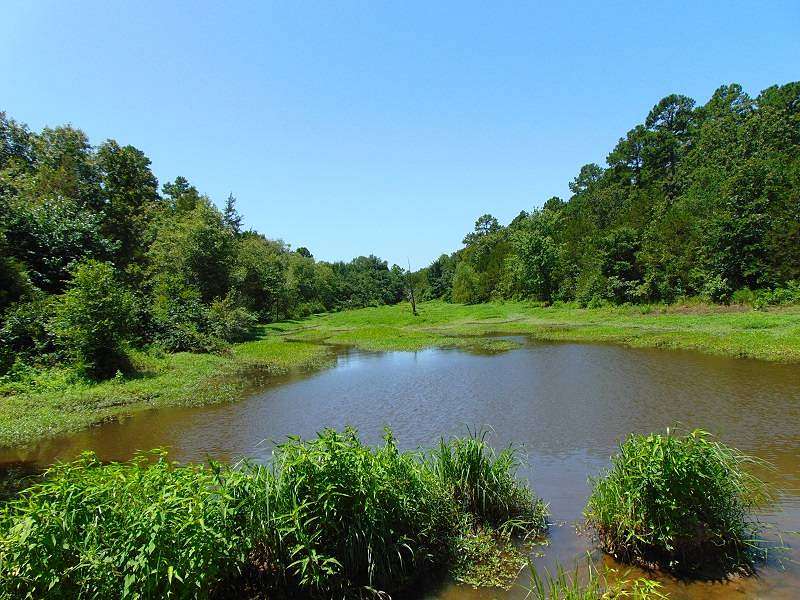 43 Acres of Recreational Land for Sale in Fanshawe, Oklahoma