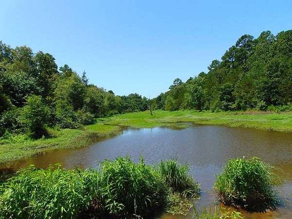 43 Acres of Recreational Land for Sale in Fanshawe, Oklahoma