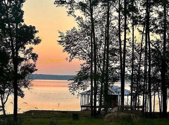 1 Acre of Residential Land for Sale in Chandler, Texas