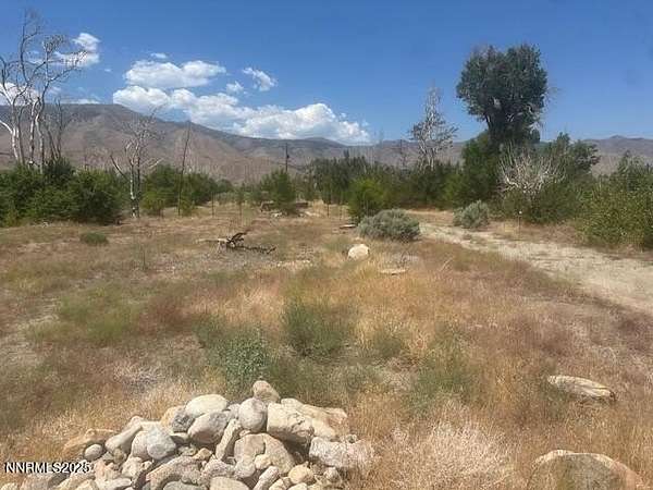 0.75 Acres of Land for Sale in Coleville, California