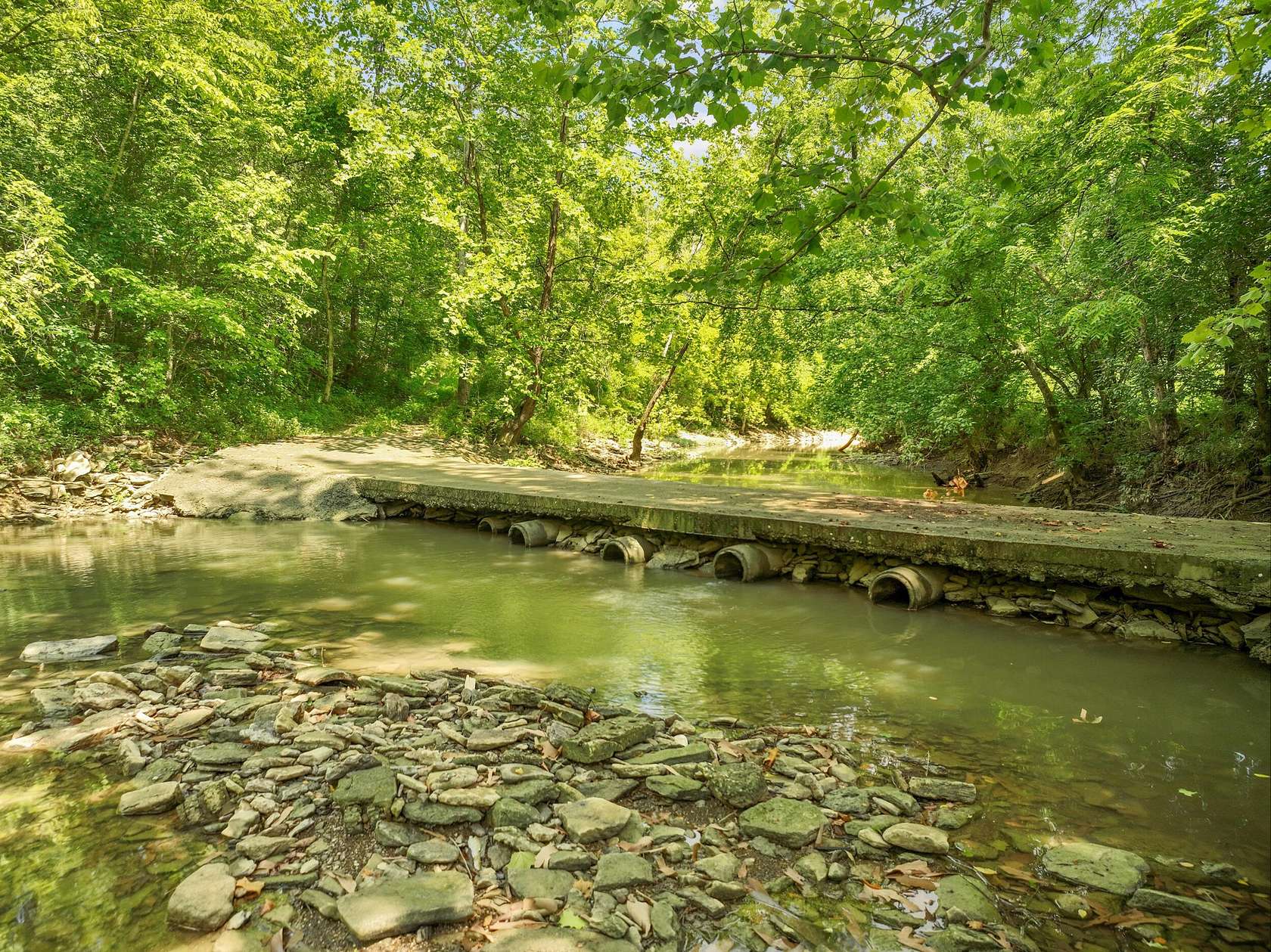 78.9 Acres of Recreational Land & Farm for Sale in Willisburg, Kentucky