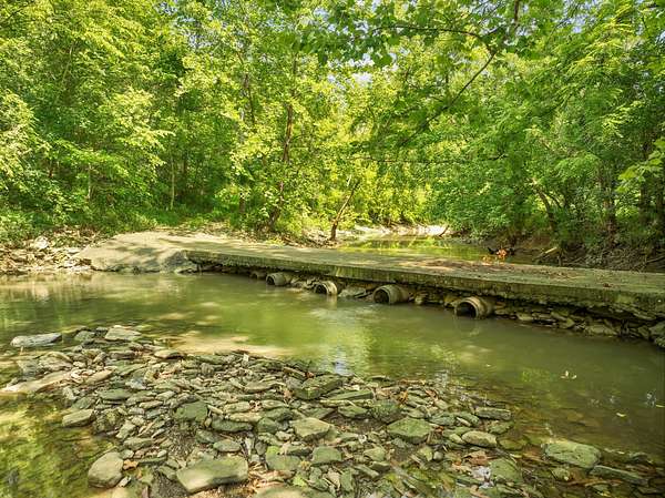 78.9 Acres of Recreational Land & Farm for Sale in Willisburg, Kentucky