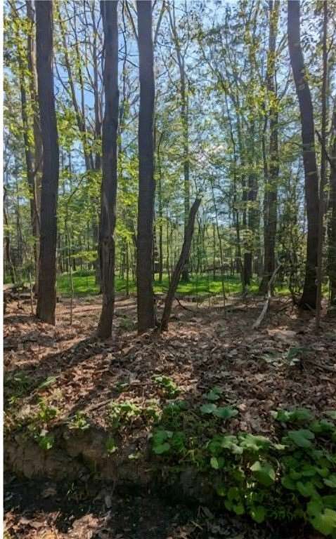 0.8 Acres of Residential Land for Sale in Bullskin Township, Pennsylvania