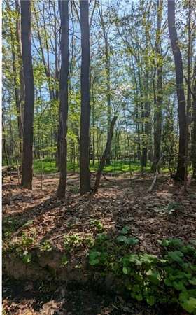 0.8 Acres of Residential Land for Sale in Bullskin Township, Pennsylvania