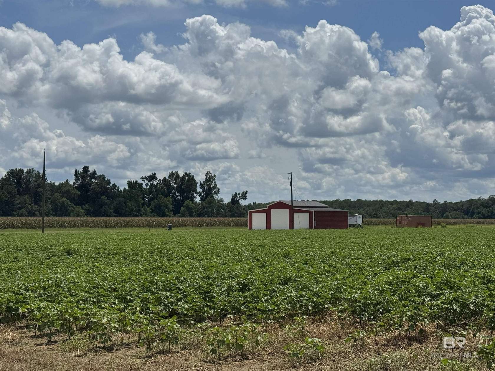 14.9 Acres of Improved Land for Sale in Atmore, Alabama