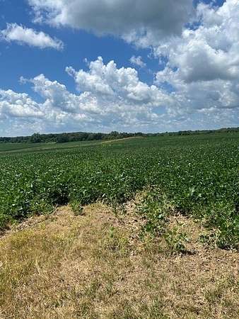 25.4 Acres of Land for Sale in Varna, Illinois