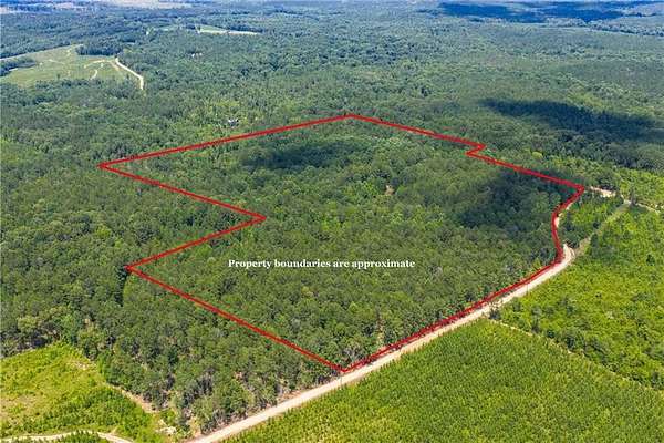 40 Acres of Recreational Land for Sale in Camp Hill, Alabama