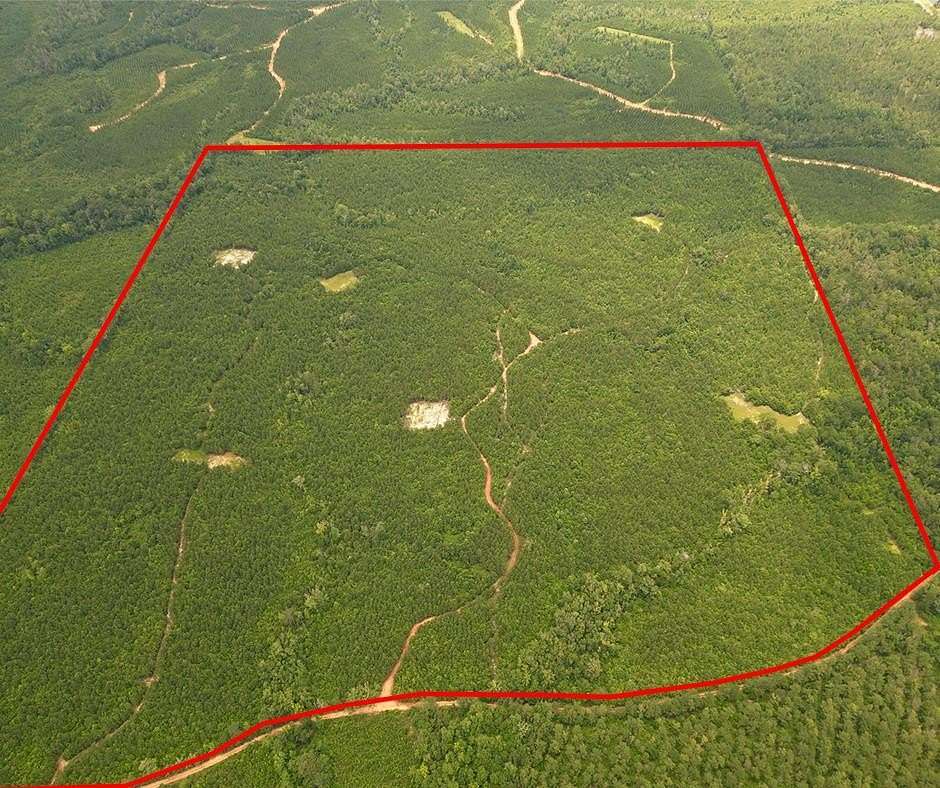 146 Acres of Recreational Land for Sale in Georgiana, Alabama