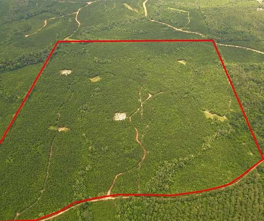 146 Acres of Recreational Land for Sale in Georgiana, Alabama