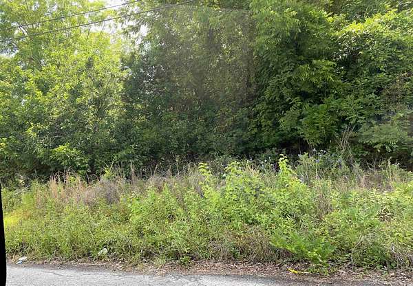 0.32 Acres of Commercial Land for Sale in Andrews, South Carolina