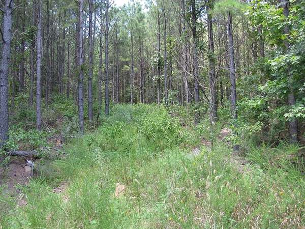 6.77 Acres of Land for Sale in Nashoba, Oklahoma