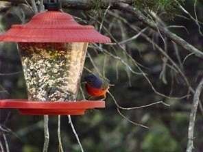 0.56 Acres of Land for Sale in Whitney, Texas