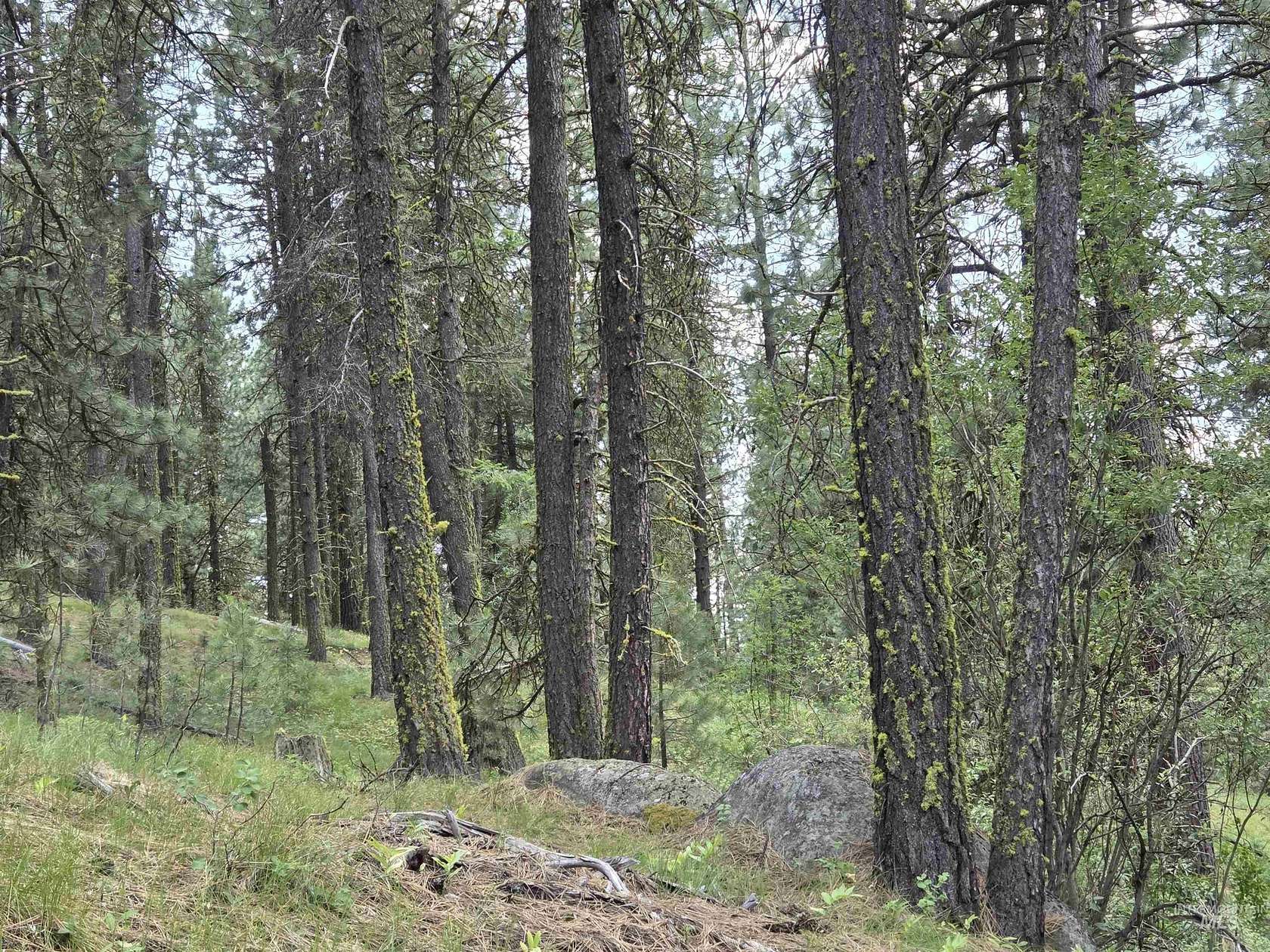 5.1 Acres of Residential Land for Sale in High Valley, Idaho