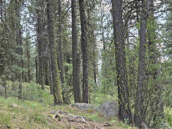 5.1 Acres of Residential Land for Sale in High Valley, Idaho