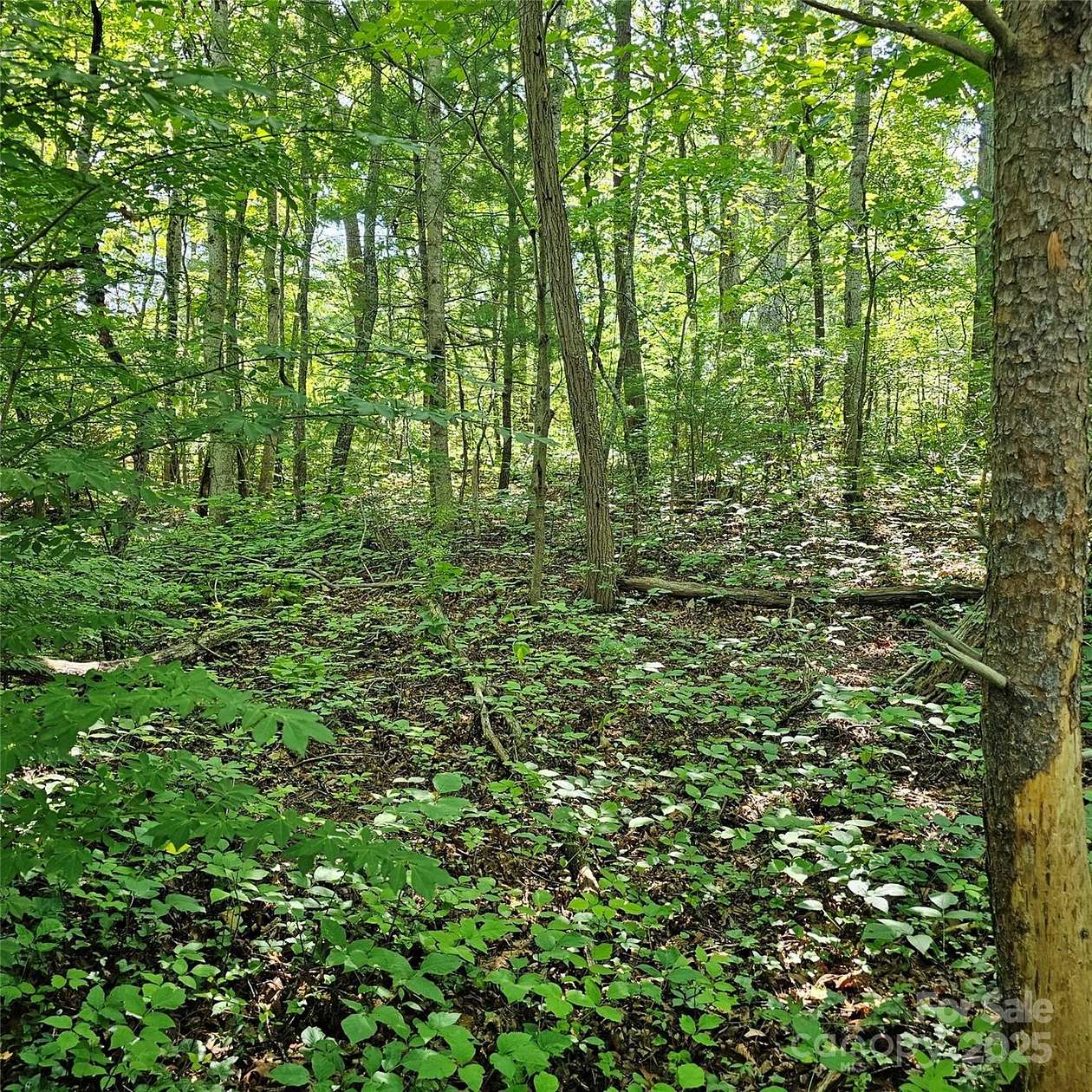 0.63 Acres of Residential Land for Sale in Asheville, North Carolina