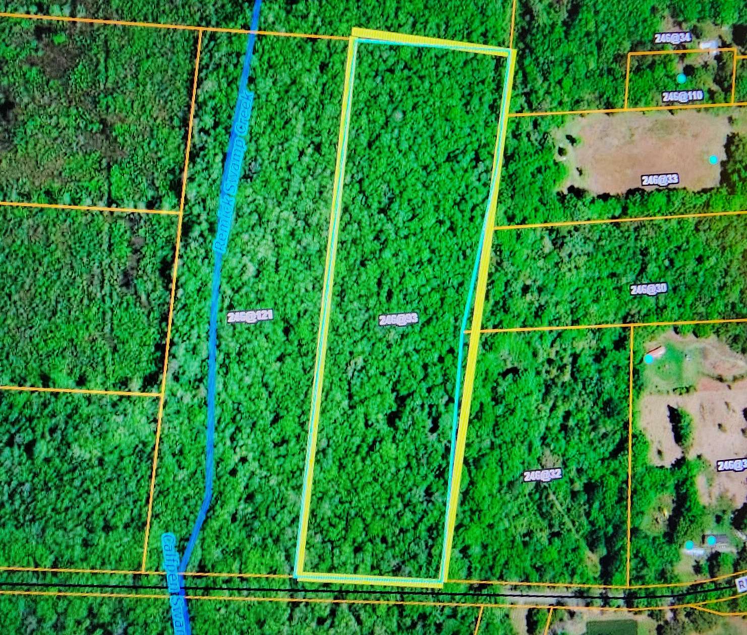 16.2 Acres of Recreational Land for Sale in Ritter, South Carolina