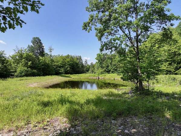 218 Acres of Recreational Land & Farm for Sale in Schuyler Falls, New York