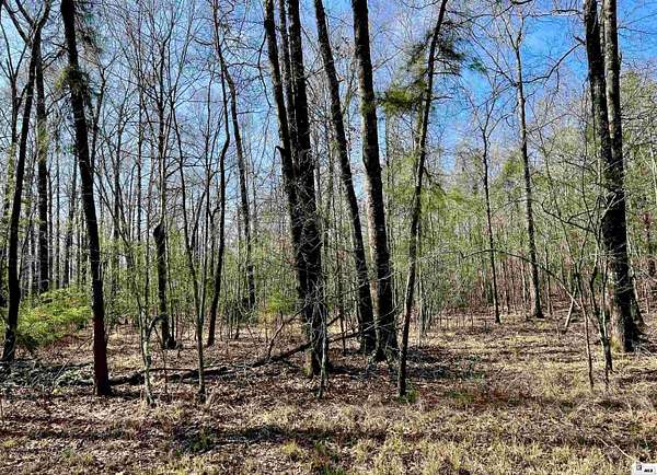 Residential Land for Sale in West Monroe, Louisiana