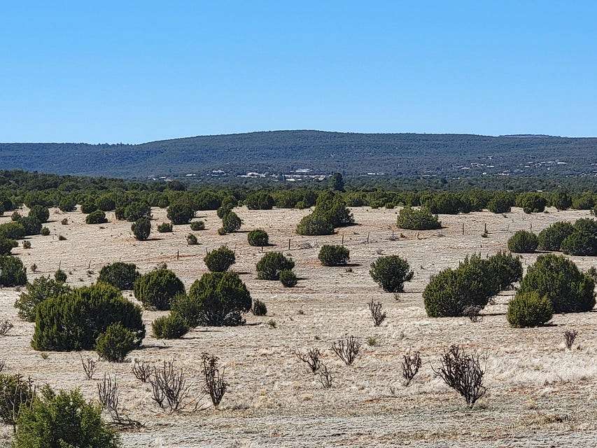 40 Acres of Recreational Land & Farm for Sale in Estancia, New Mexico