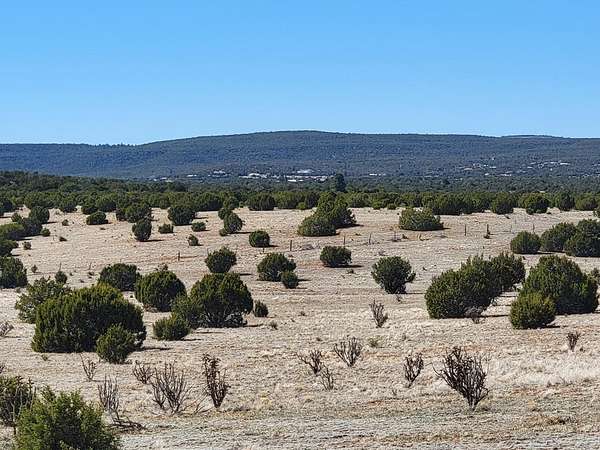 40 Acres of Recreational Land & Farm for Sale in Estancia, New Mexico