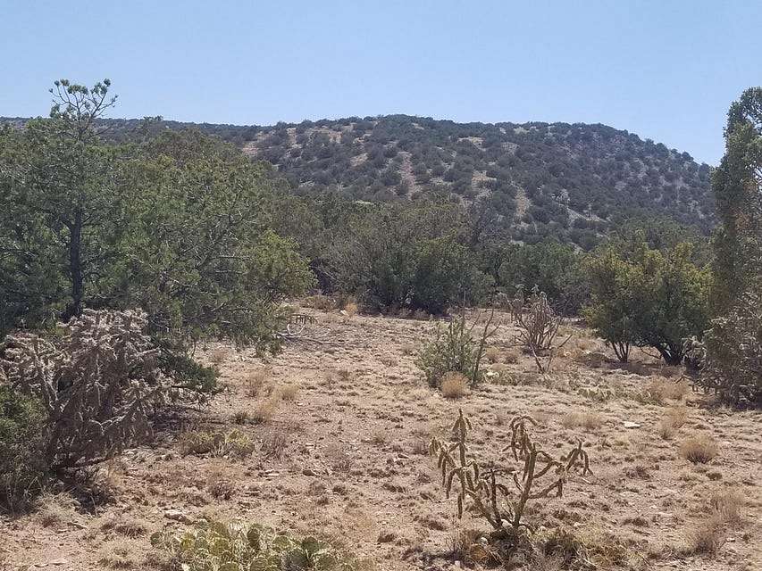 75 Acres of Recreational Land & Farm for Sale in Estancia, New Mexico