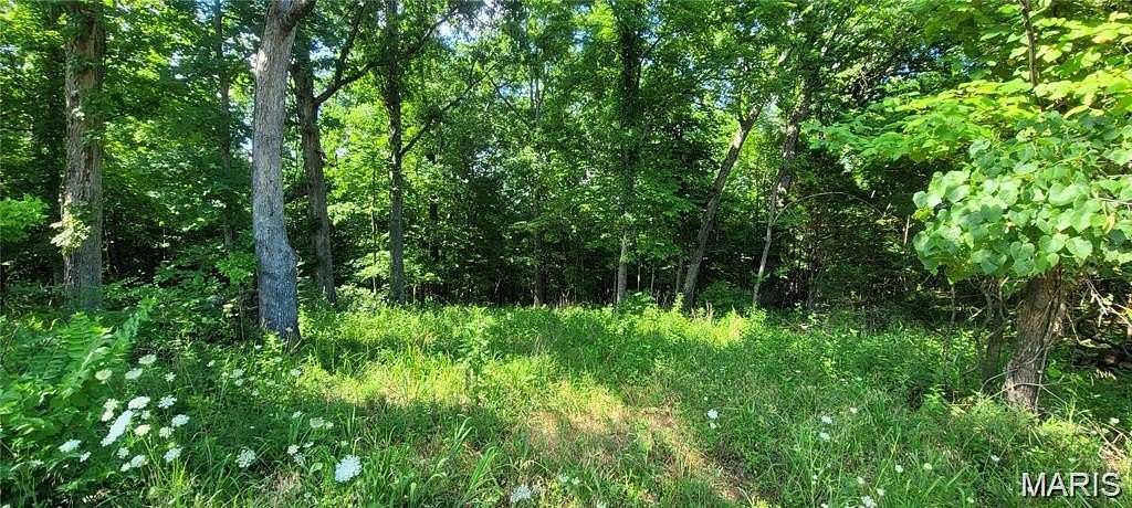 5 Acres of Residential Land for Sale in De Soto, Missouri