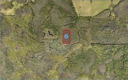 5 Acres of Agricultural Land for Sale in Groveland, Florida