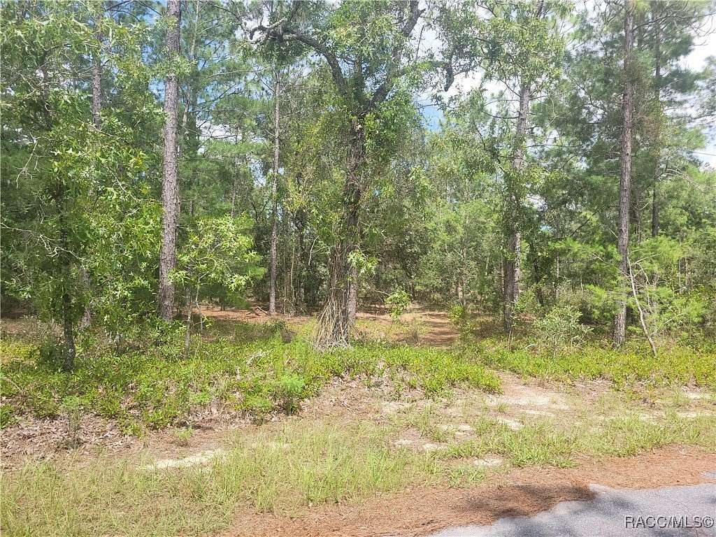 0.28 Acres of Residential Land for Sale in Homosassa, Florida