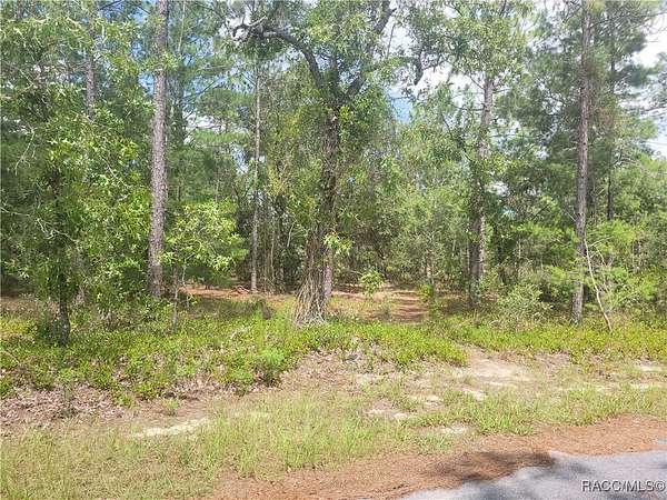 0.28 Acres of Residential Land for Sale in Homosassa, Florida