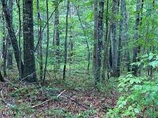 0.25 Acres of Residential Land for Sale in Crossville, Tennessee