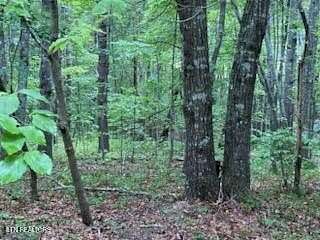 0.25 Acres of Residential Land for Sale in Fairfield Glade, Tennessee