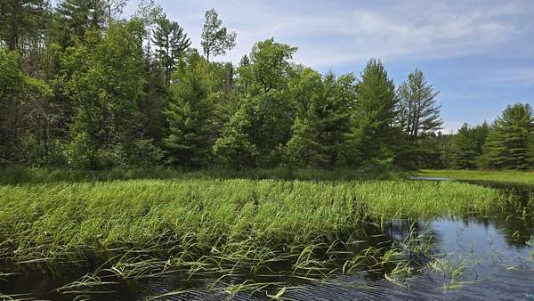 40 Acres of Recreational Land for Sale in Crane Lake, Minnesota