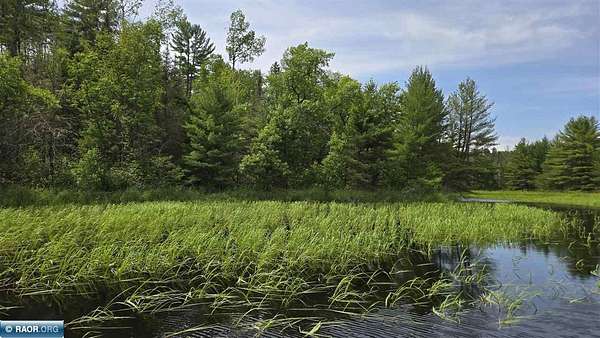 40 Acres of Recreational Land for Sale in Crane Lake, Minnesota