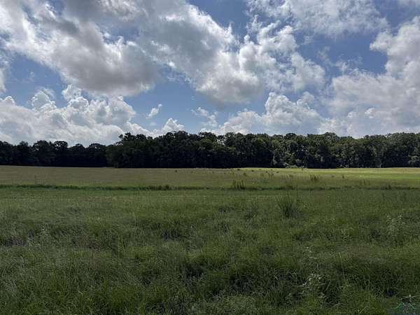 3 Acres of Residential Land for Sale in Henderson, Texas