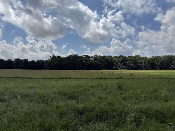 3 Acres of Residential Land for Sale in Henderson, Texas
