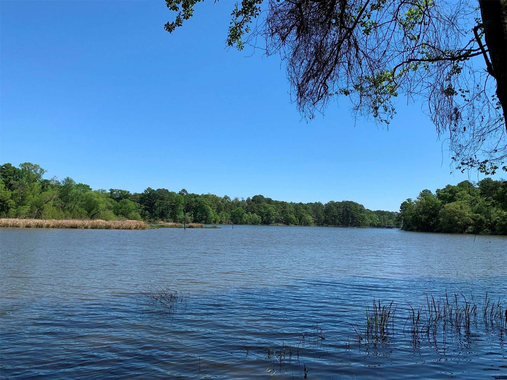 42.5 Acres of Recreational & Residential Land for Sale in Frankston, Texas