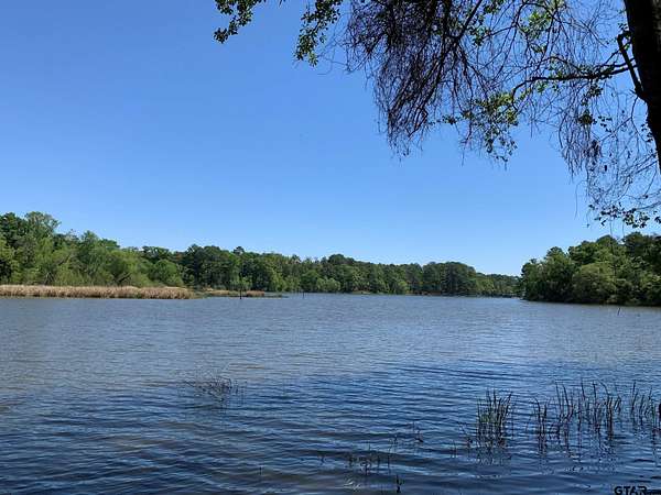 42.5 Acres of Recreational & Residential Land for Sale in Chandler, Texas